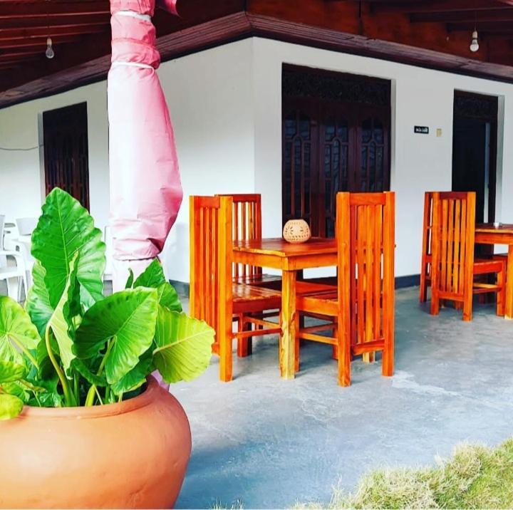 Tharurashmi Sea Pond Villa & Surf Hostel - Hiriketiya ディックウェラ エクステリア 写真